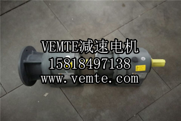 立式齒輪減速機，臥式齒輪減速機,齒輪減速電機,齒輪減速馬達 (1)