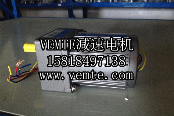 小電機(jī)，小型調(diào)速電機(jī),微型減速電機(jī) (2)