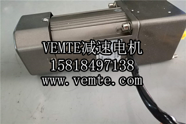 減速機(jī)電機(jī)廠(chǎng)家 (36)